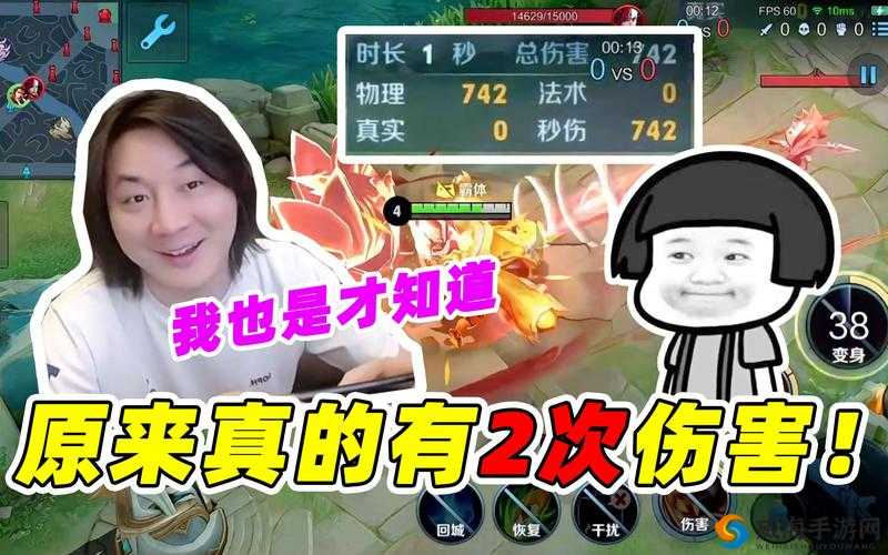 王者荣耀张大仙巅峰赛遇惊奇队友，资源管理的艺术