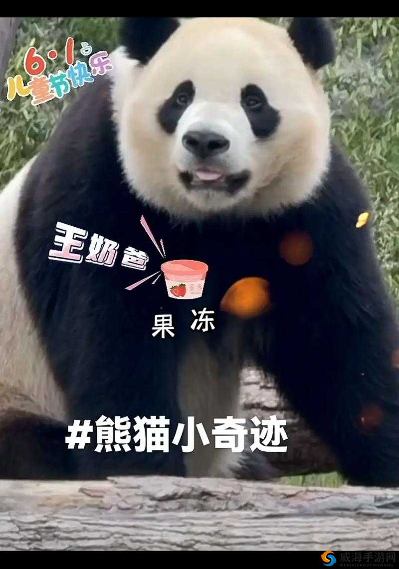 一起来捉妖熊猫崽崽好不好