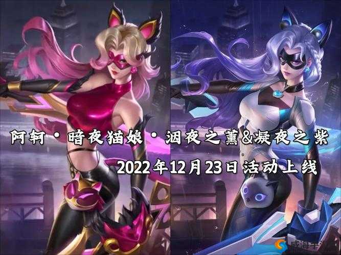 王者荣耀S15赛季与阿轲星元皮肤深度解析