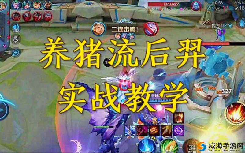 关键词，王者荣耀与梦泪的养猪流传奇