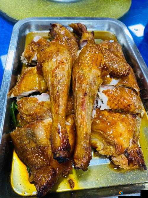 明日之后烤鸡鱼怎么做，烤鸡鱼配方一览及其在游戏中的资源管理