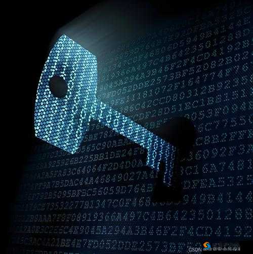 caviarcode 性：探索未知的密码世界