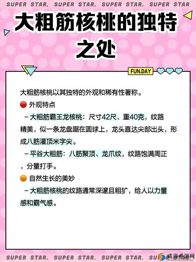 国产又大又粗的独特魅力与优势呈现