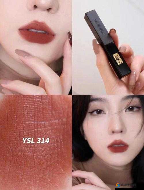 ysl 蜜桃棕调色：打造迷人妆容的必备之选