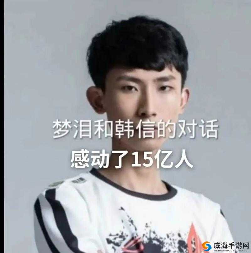 王者荣耀梦泪韩信再现历史,高端局推家逆转中的资源管理艺术