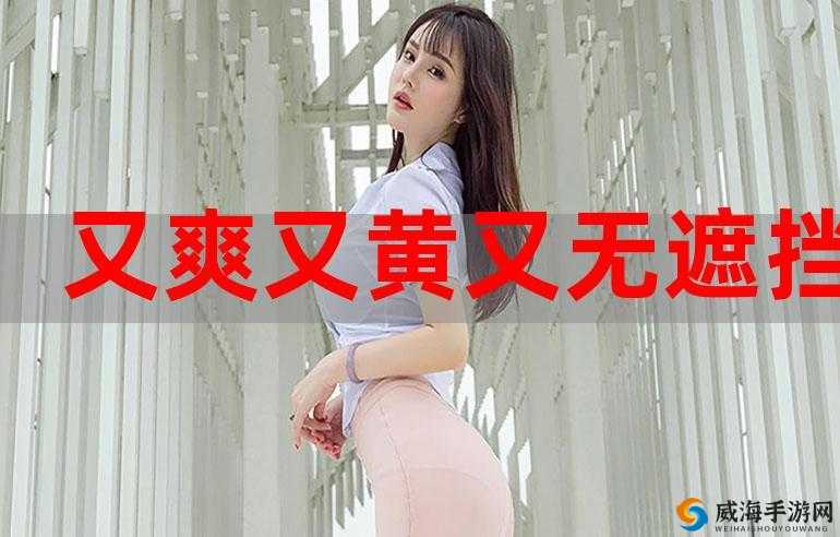 宝贝好紧好爽再搔一点试视频：极致刺激的体验之旅