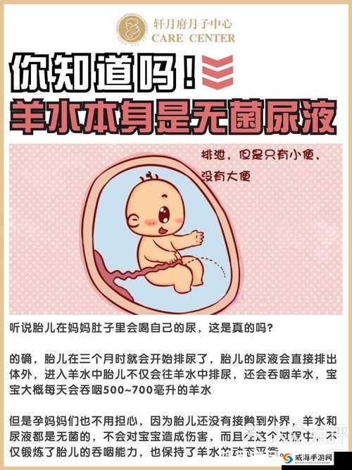 爸爸尿在妈妈肚子里了怎么办：这究竟是怎样的疑惑