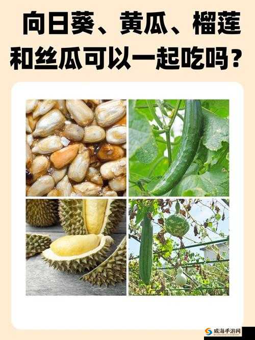 新鲜采摘：草莓、丝瓜、黄瓜、向日葵、榴莲的奇妙组合