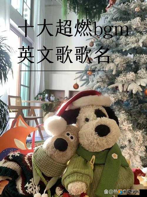 bgmbgmbgm 老太太毛多多吧：关于这个独特表述的深入探讨