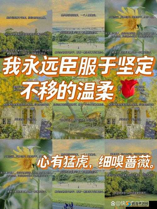 极致爽感：躁多水且快且深一点的激情体验