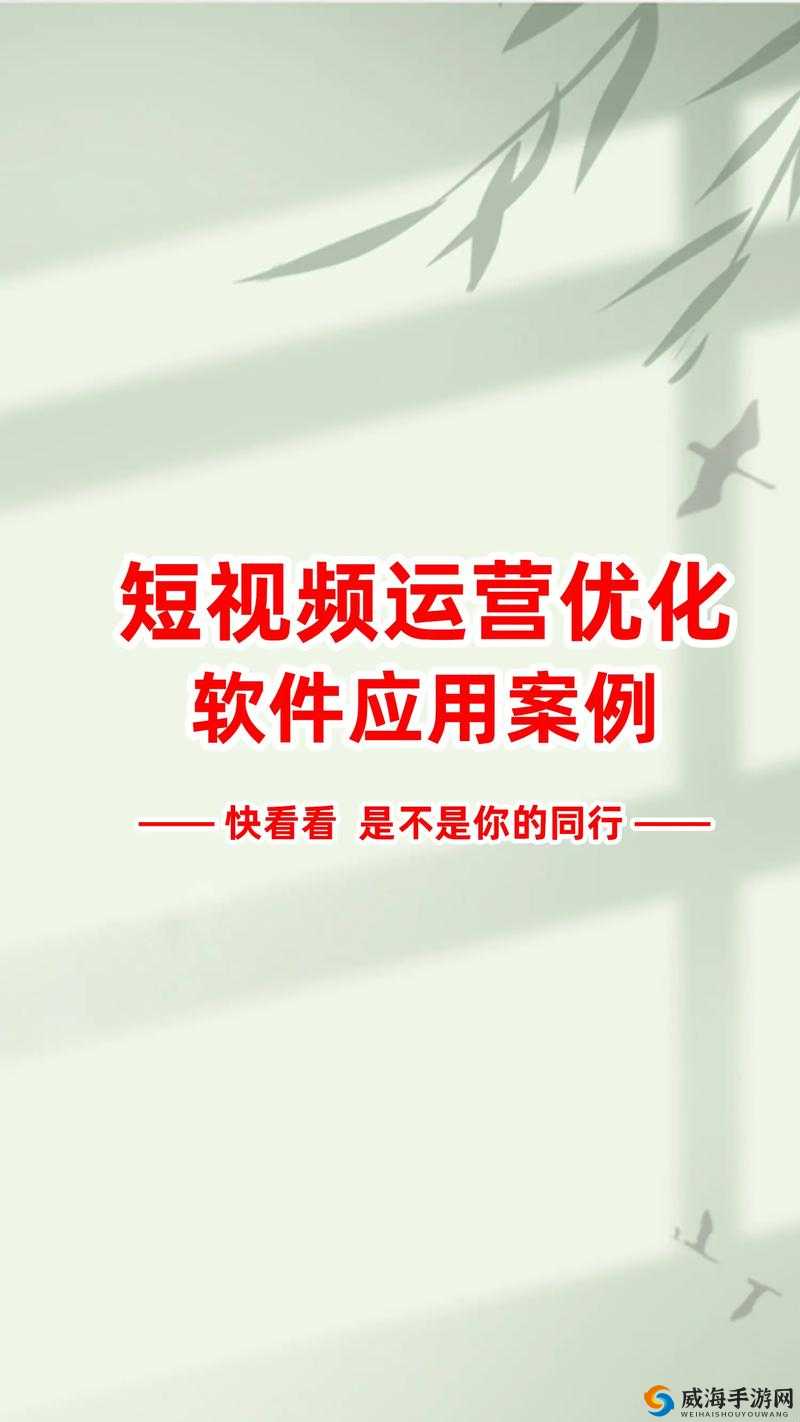 成品短视频 APP 怎么样：其优势与发展前景探讨