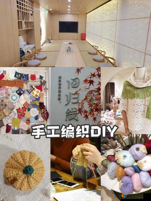 编织梦想的关键词，探索、创新、成长与补偿的艺术