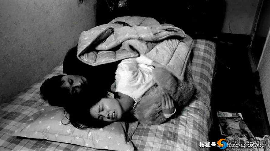 激情一夜：探索成年人髦片视频背后的情感与欲望