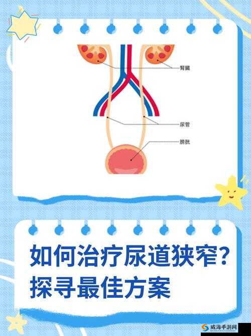 堵住尿孔不能尿：探寻背后的健康隐忧与解决之道
