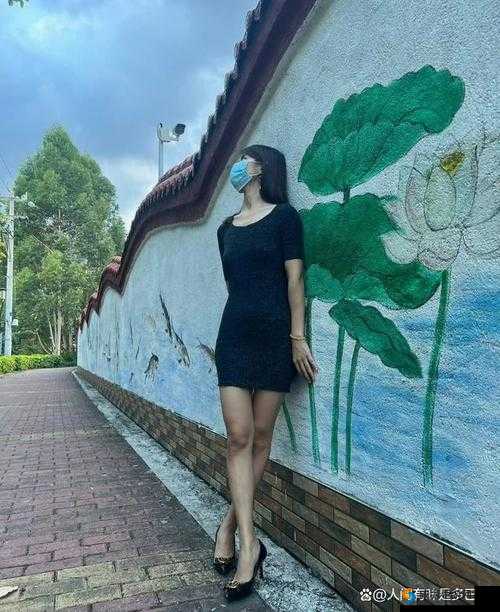 jdgx 五十到六十多岁女：活出精彩人生的典范