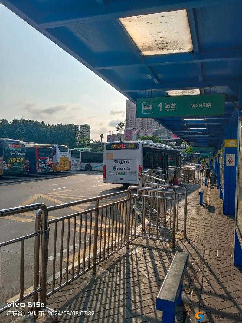 我和小在公交车上公交：一段充满未知的特别行程