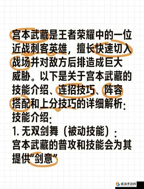 王者荣耀体验服更新深度解析，宫本武藏再加强及其他重要调整