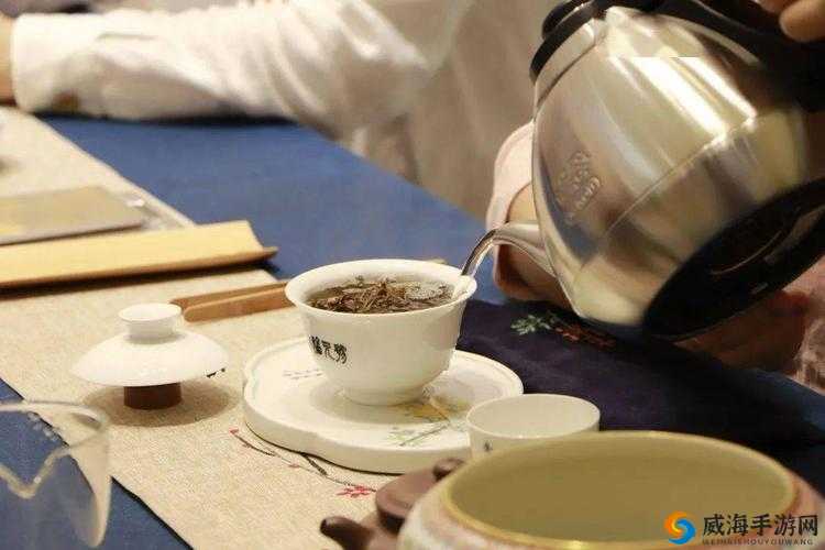 里面也请好好对待五集：用心感受其独特魅力