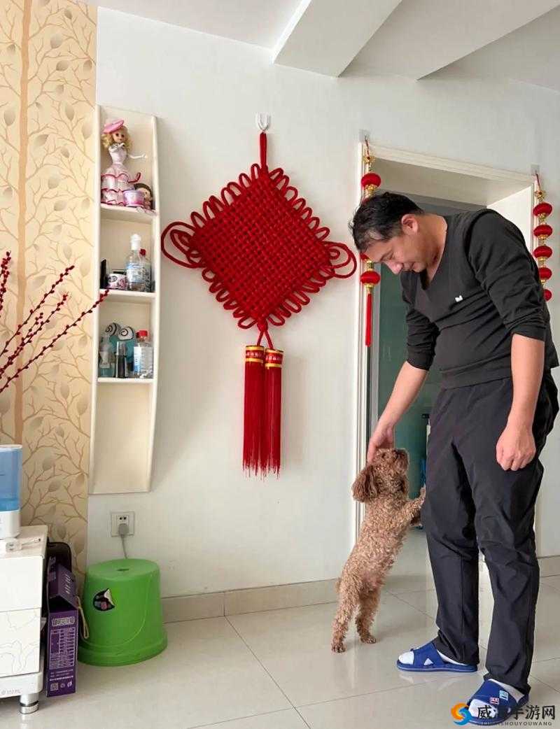和姑父开了房子后续该如何妥善处理呢