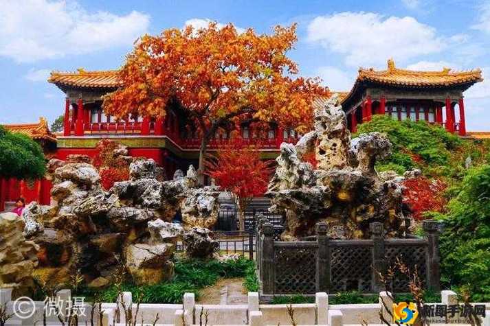 皇上御花园的 HLH 霍冶臻是什么故事：一段鲜为人知的传奇篇章