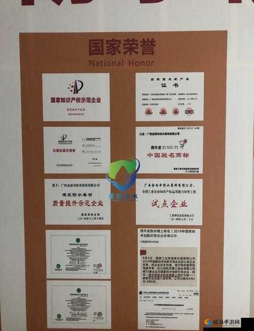成色好的 y31 标准：优质产品的卓越标杆