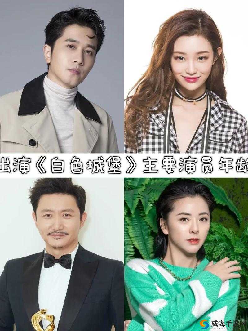 白色城堡电视剧在线观看免费畅享精彩不容错过