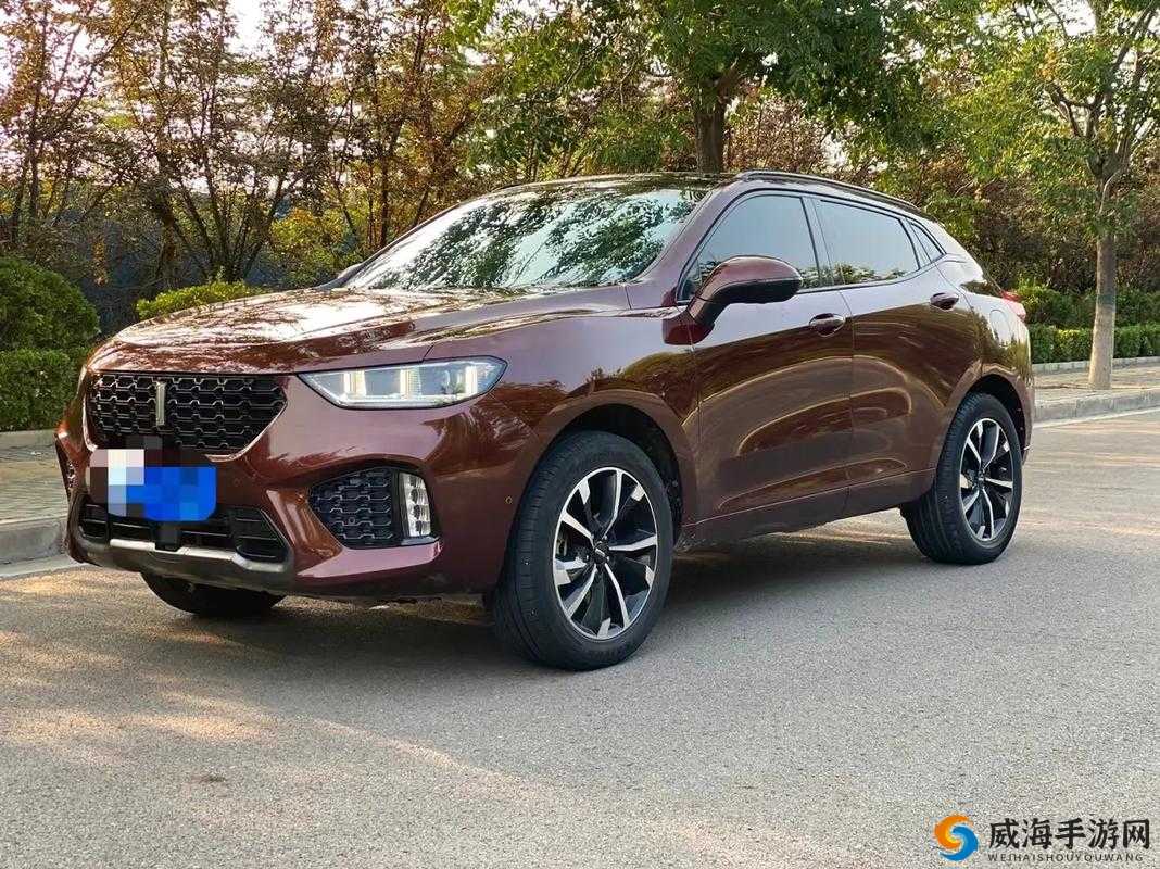 WEYVV5 国产的 SUV 视频：展现其卓越性能与独特魅力