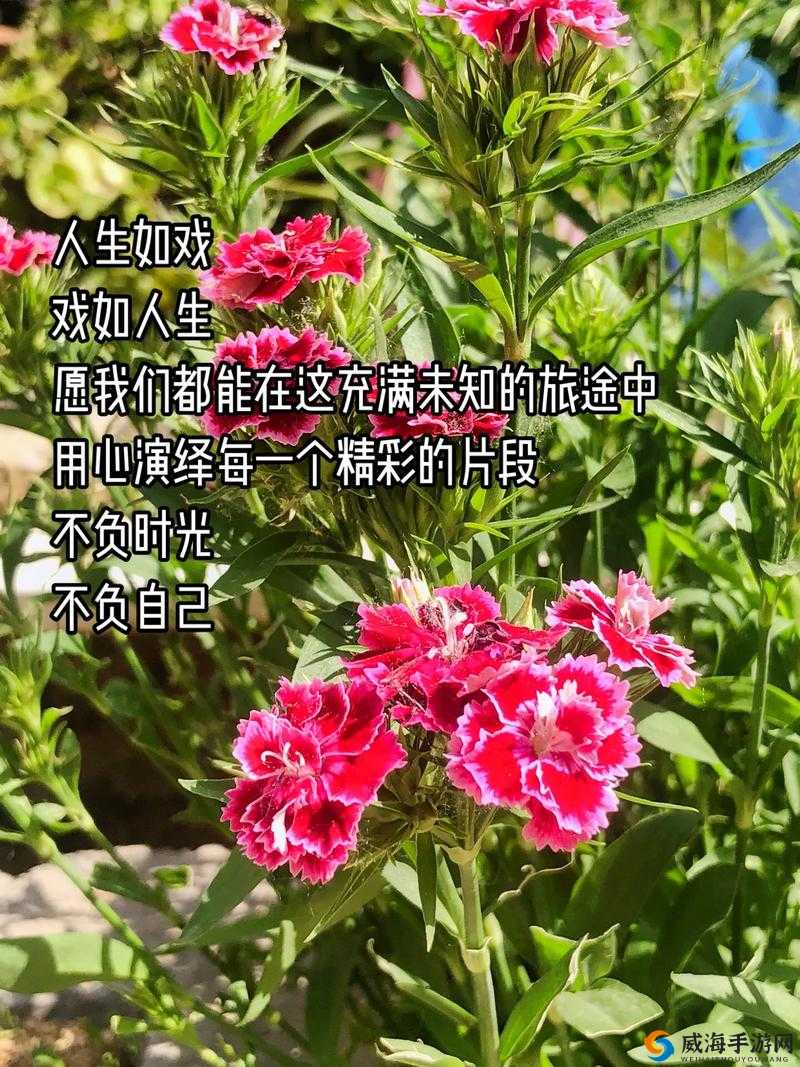 胸前的柔软掌心温热：那一抹温暖与柔情的交织