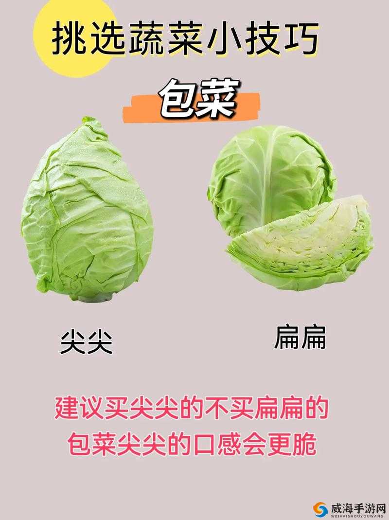 草莓丝瓜向日葵樱桃榴莲：美味水果与蔬菜的奇妙组合
