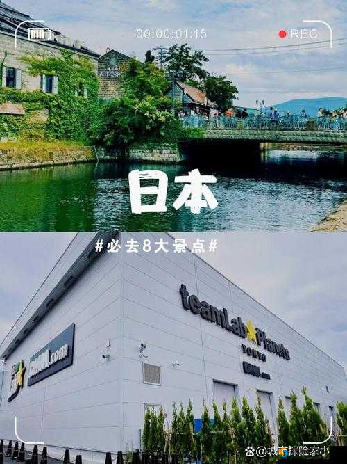 日本成熟欢迎您：探索日化与成熟之美