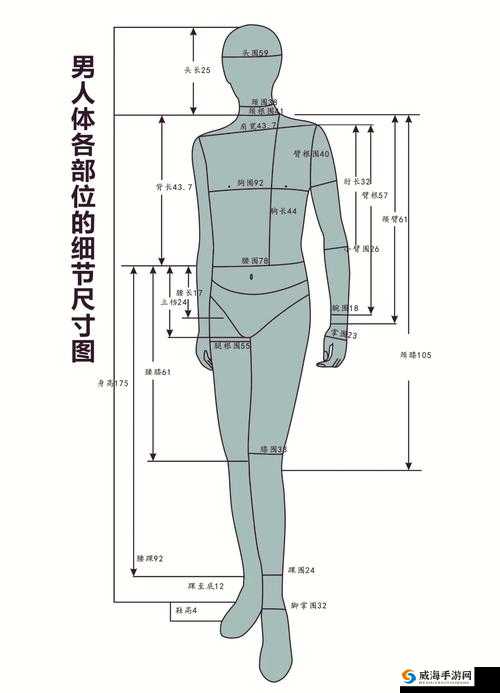 男人:喜欢一只手能握满的胸围吗?这背后的奥秘