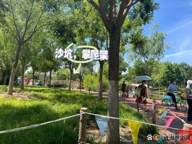 带你回家怎么玩儿：畅享趣味十足的回家之旅玩法