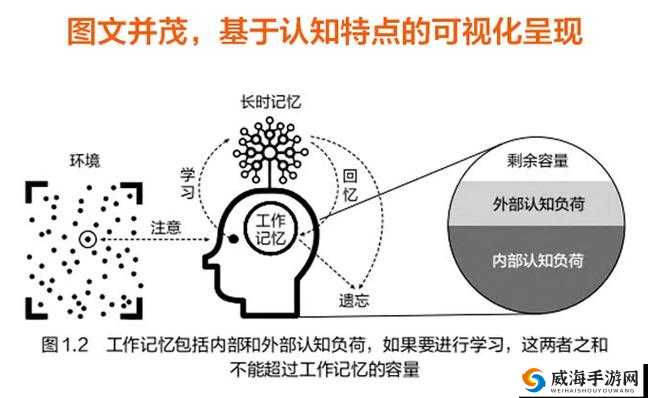 6900 理论：深度解析其内在逻辑与广泛应用价值