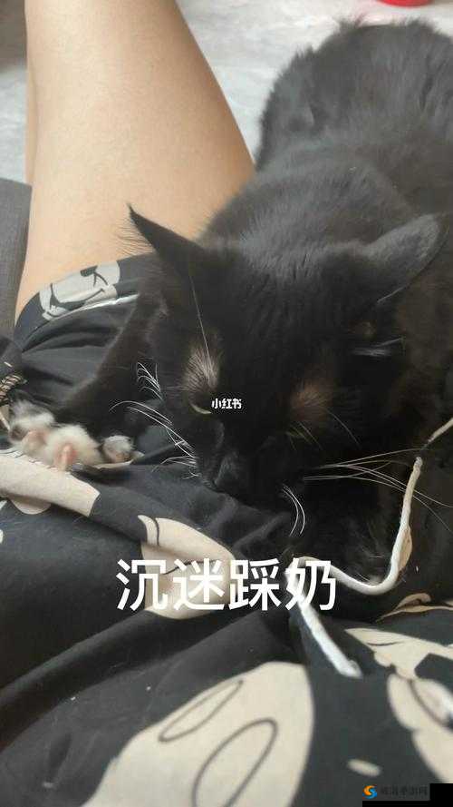 嗟嗟嗟嗟嗟嗟嗟好痛：谁能救救我