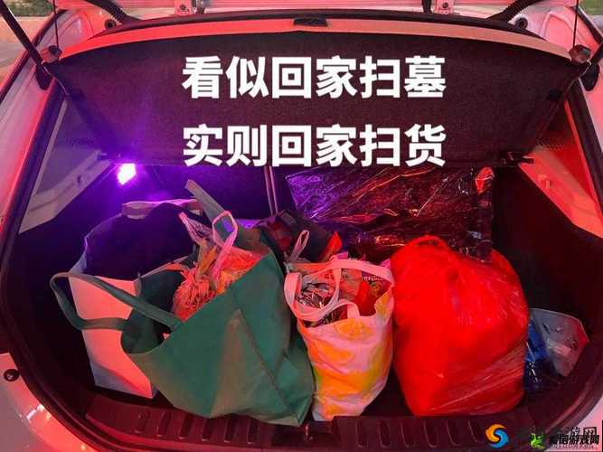 小扫货能么多叫出来：探究其背后的原因及意义