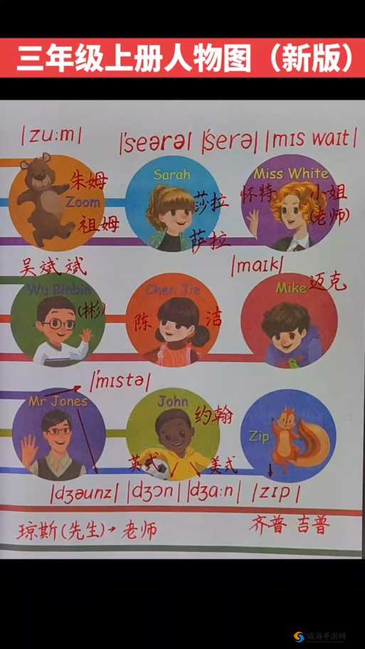 探秘 ZOOM 与牛性胶 ZOOM：背后的神秘世界与独特魅力