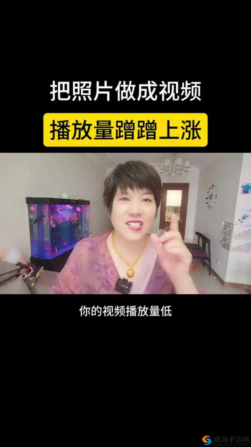 今天高清视频免费播放被破解了：震惊盗版横行何时休？