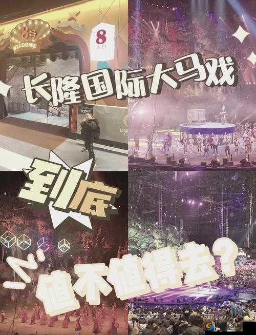 好大赛的满满视频：精彩绝伦不容错过
