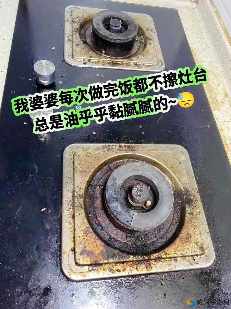 从厨房一路干到客厅好吗：关于家庭清洁任务的探讨
