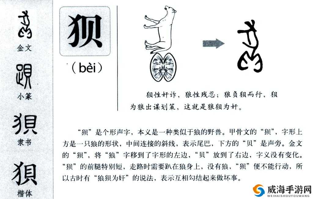 一个下面添一个上面：揭秘汉字背后的秘密