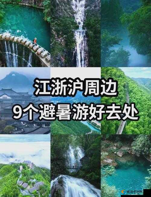 如何进入伊春园 2023：详细步骤与方法全解析