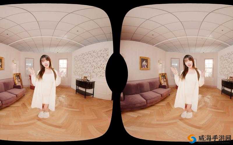 探索欧美人与物 3DVideos：新奇视角下的文化交融