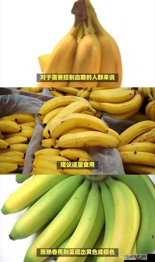 国产无人区玫瑰香蕉：独特口感与丰富营养的完美结合