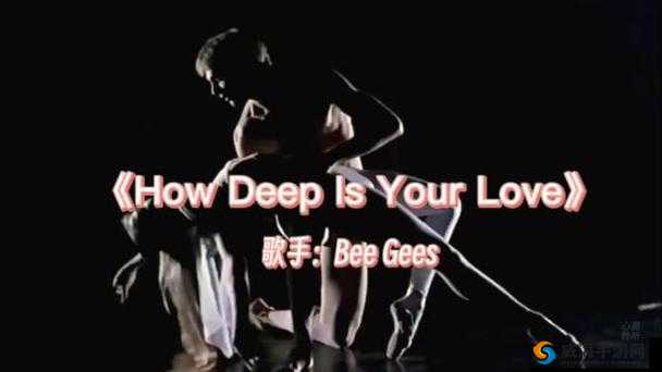beegeeshowdeepisyourlove 经典歌曲背后的深情故事