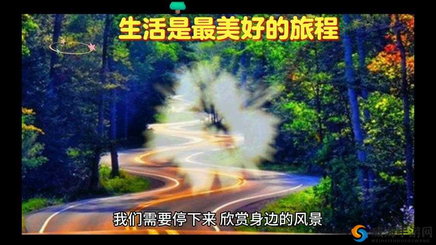幸福密码 6m8858：开启幸福之门的神秘钥匙与美好旅程
