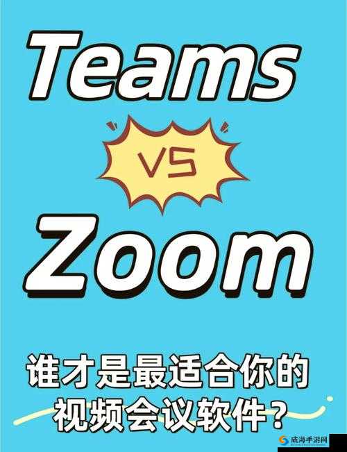 俄罗斯 ZOOM 人与 ZOOM：关于他们的故事与经历探讨