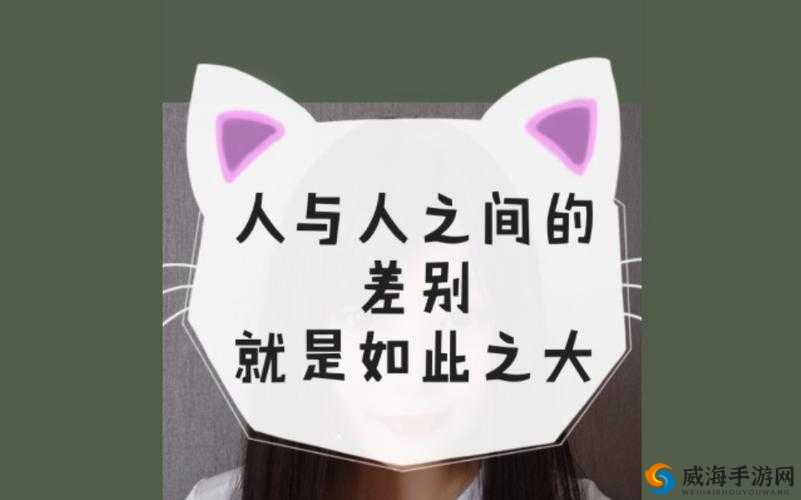 成品人与精品人的区别是什么：深度剖析两者差异所在