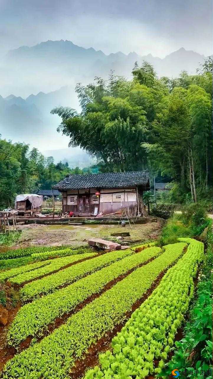 田园风情:走进乡村,探索不一样的风流韵味