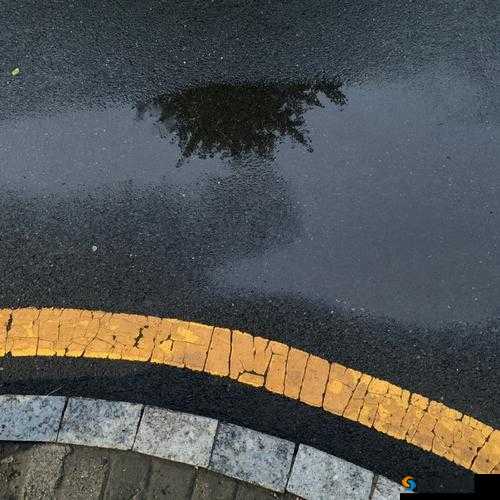 湿漉漉的地面仿若刚下过雨般潮湿清新