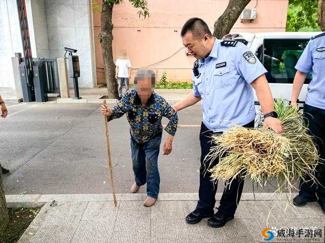 小草回家永不迷路 2024：踏上归家之旅，告别迷路困扰